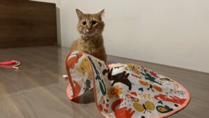 電動おもちゃを導入